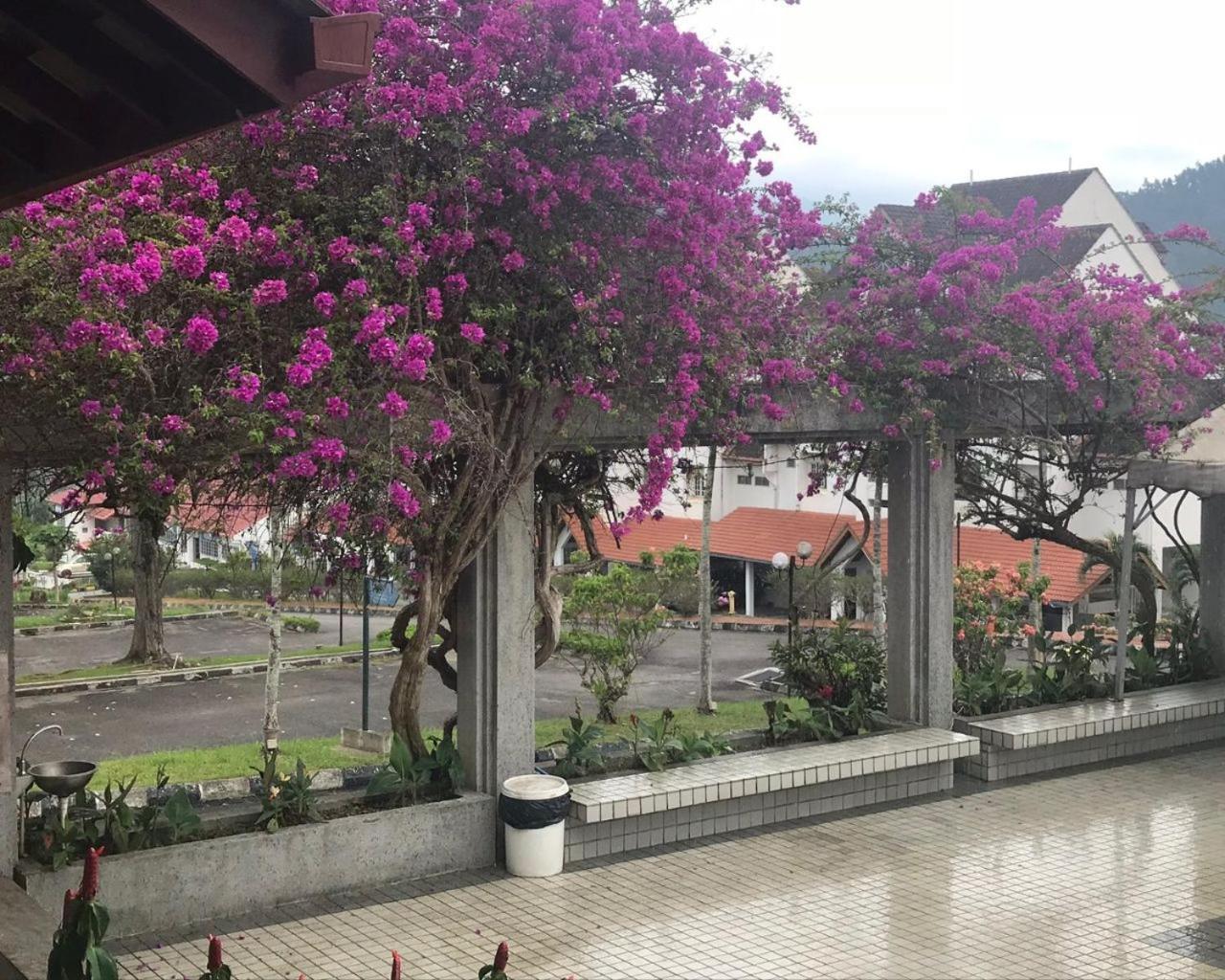 Thatniceplace, Selesa Hillhomes, Bukit Tinggi, Janda Baik, Genting Bentong Kültér fotó